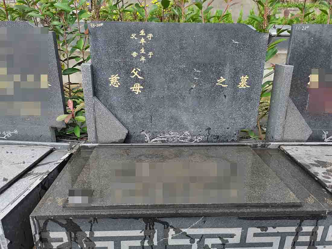 白桦园B