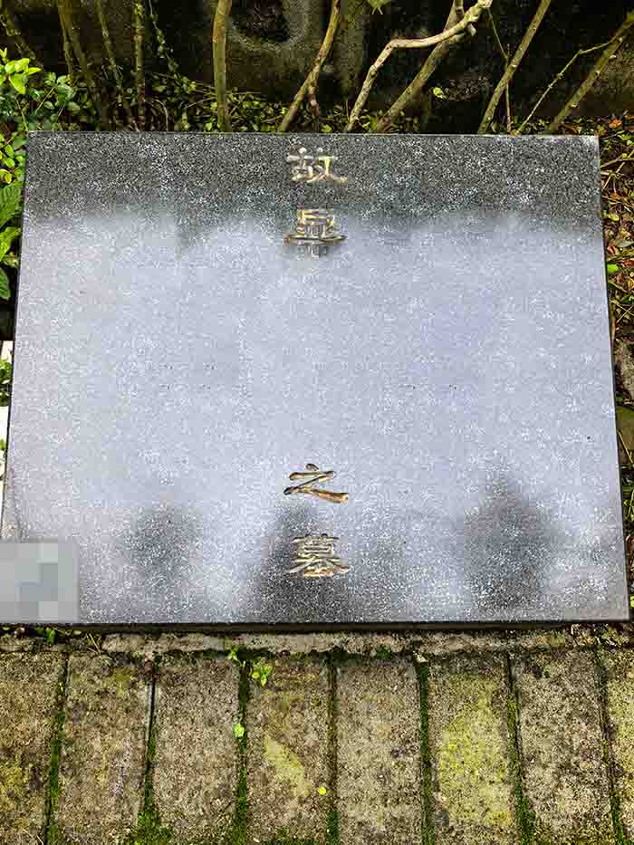 冬青园B左