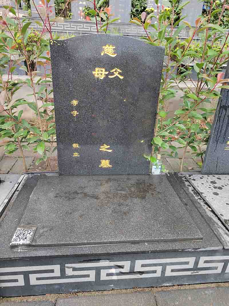 白桦园A