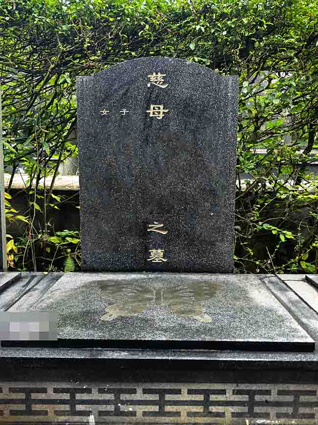 白桦园左区