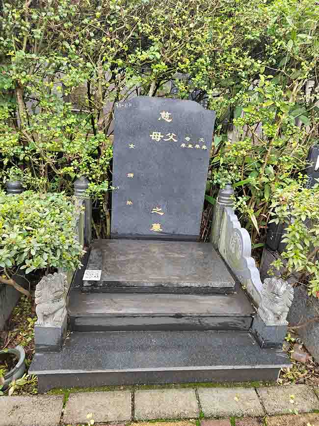 梧桐A右区三段