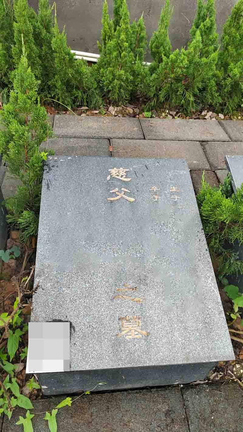 冬青园A右一段
