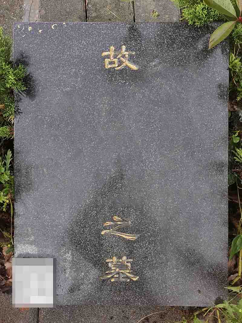 冬青园A右二段