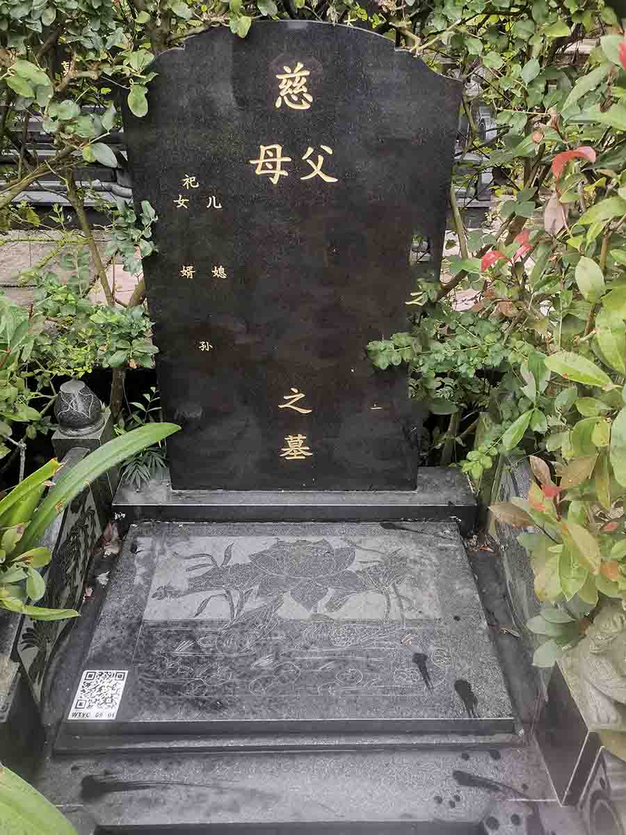 梧桐园C