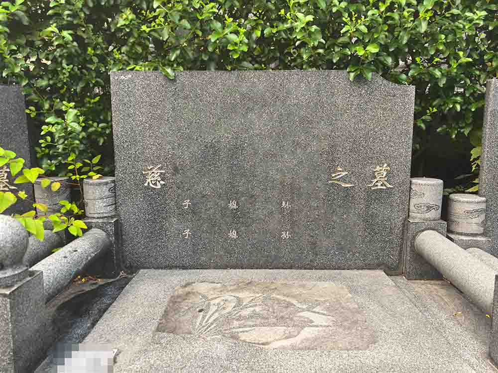 水杉B新区