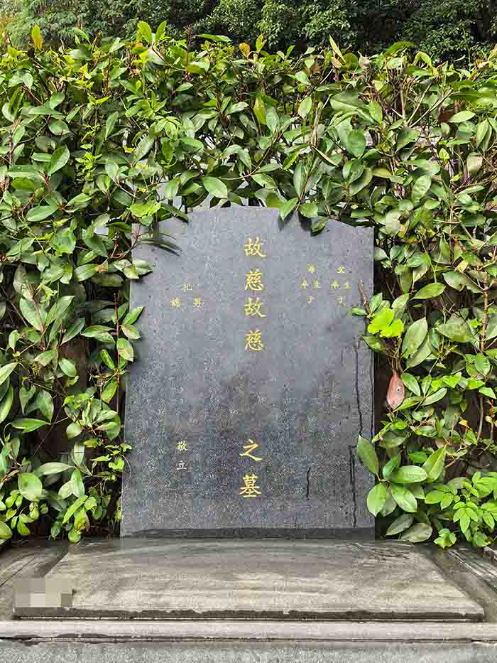 白桦A右区