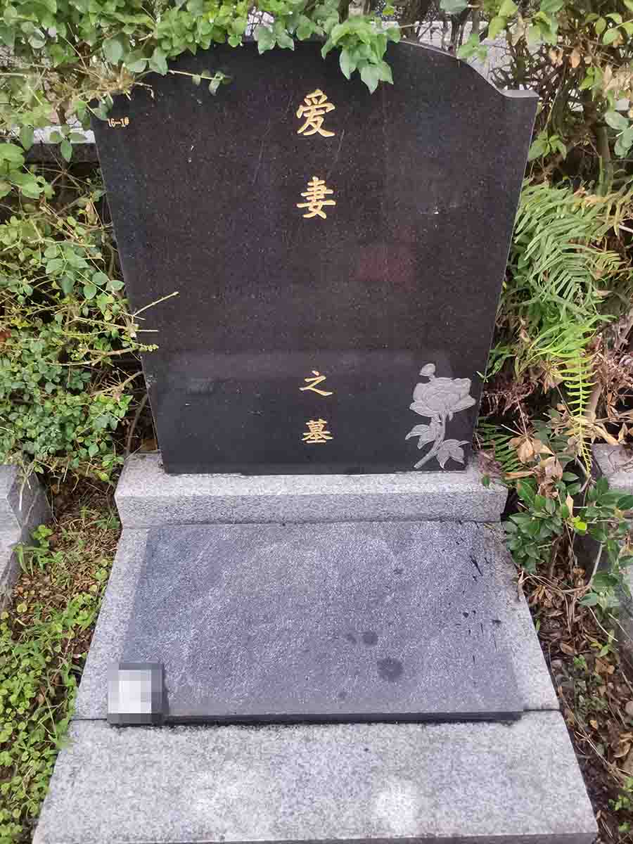 银杏C二区